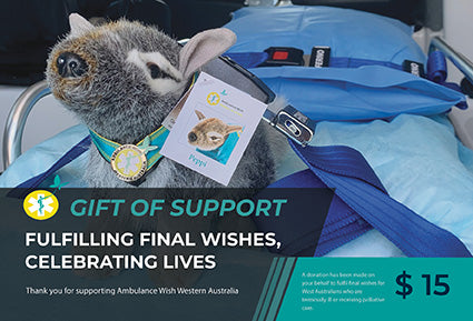 Gift of Support
